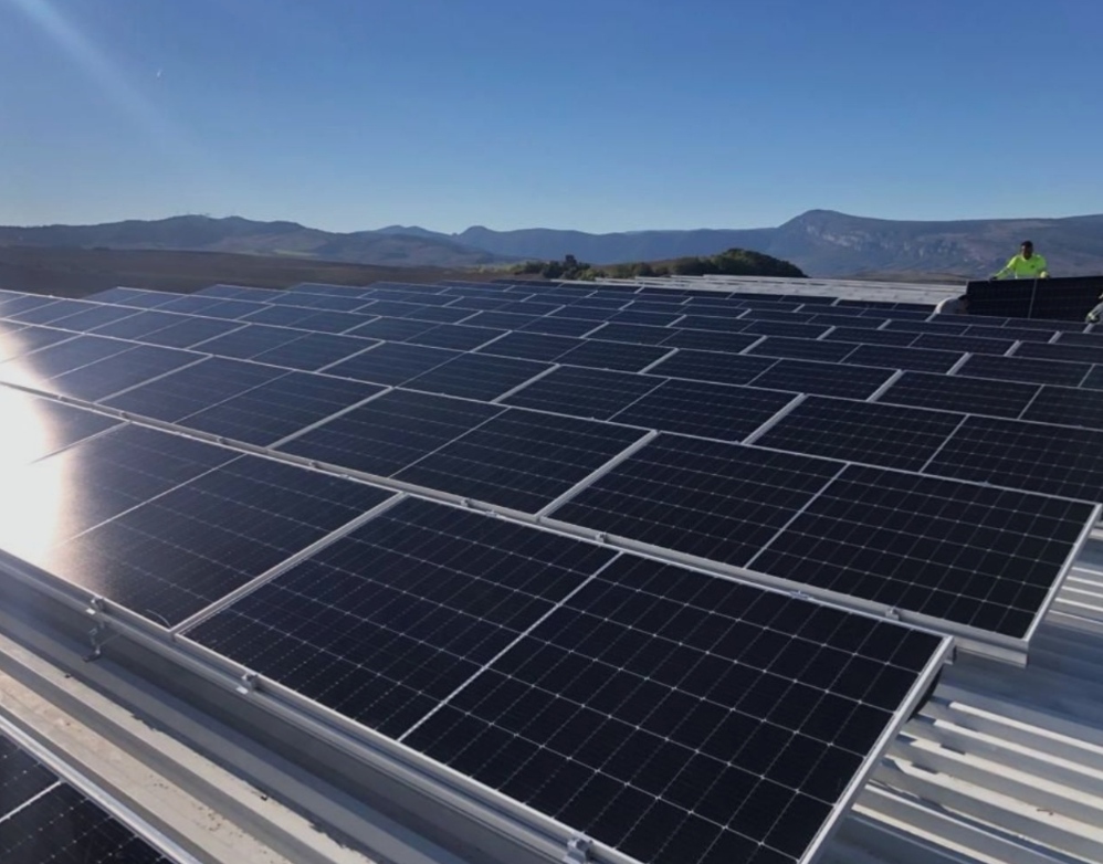 WhatsApp Image 2026-04-14 at 07.52.20